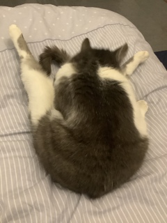 10���قǂŒ�ʒu�Ɉړ�