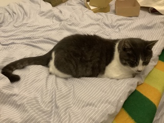 ��7����