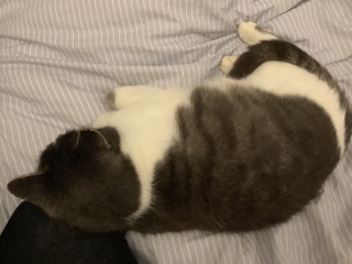 ��9����