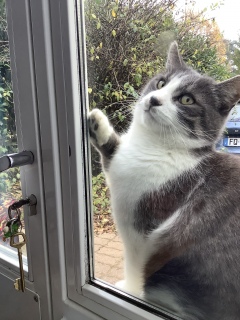 �J���Ă���[