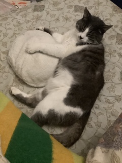 �݂�ȑ�D���������