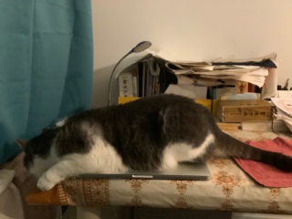�[���̓p�\�R���̏�