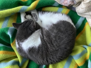 �ˁ[���͂�����H�ׂ������ǁc