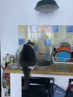 12��15��(��)�@�������L�����