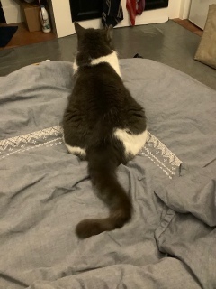 �K��̓N���X�}�X�v���[���g
