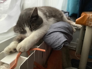 ��M���Ȃ����ȁ[