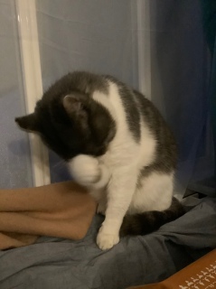 ����ς肸����Ɨ���������