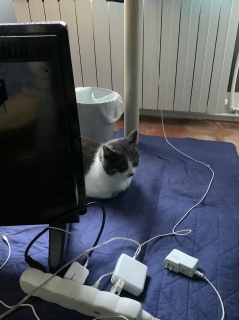 12��28��(��) �Љ�I���������˂������