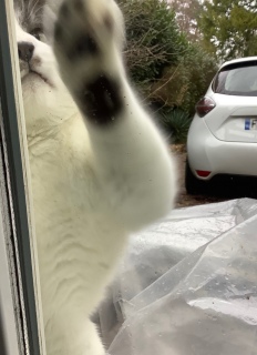 ���ꂩ��17����