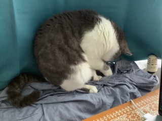 �e�[�v�Ɗi������L�����