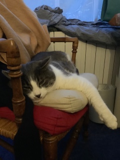 �֎q���Q�[���̏���