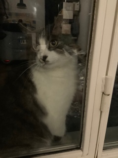 6���ɂ����K