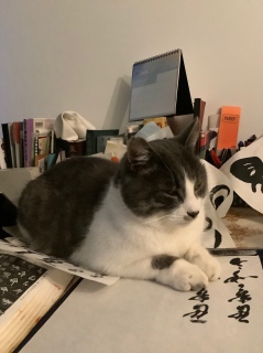 �[���@�c�ƖW�Q�ɂ���ė���