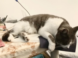 �����Ɖ��~���̏オ�D���炵��