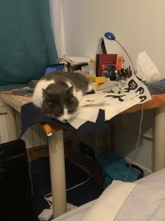 �[��
