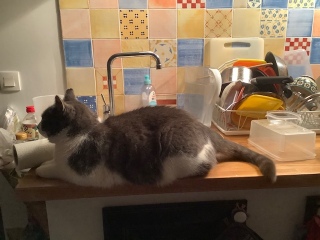 �A��シ�������L�����