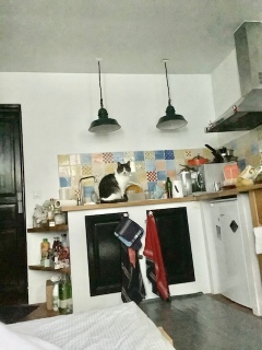 1��9��(�y) �y�j�����o��