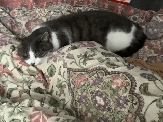 1��13��(��) �̂т̂�