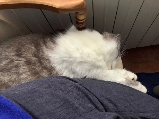 �˂������