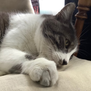 �J�����̉����邳����ˁ[