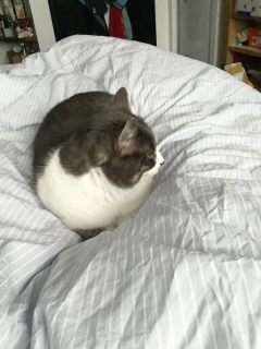 �˂������