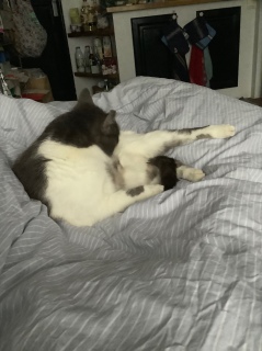 ���ݑ��L�΂���