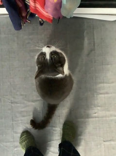 ���������グ��L�����