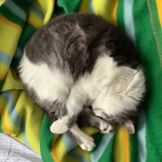 ������