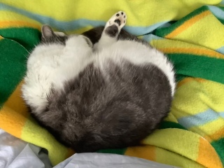 ���Ȃ�n����