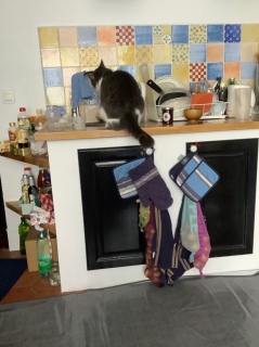 2��2��(��) �ʉ߂��ꂻ���������