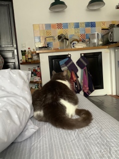 ������ǁ[��