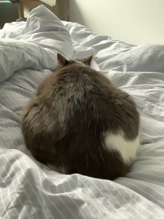 �ǂǁ[��