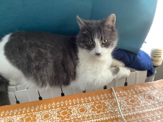�Q�ɂ��������둫�œ��񒣂�