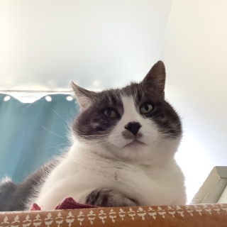�����ƈ̂����H
