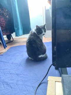 �����͂�������炵�Ă��ꂽ