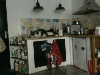 2��14��(��)_8�����o��