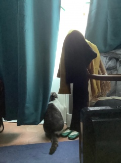 �O�ɏo�����̂��A�����łȂ��̂�