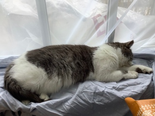 �V�[�c������΂�����ƐQ�₷���H