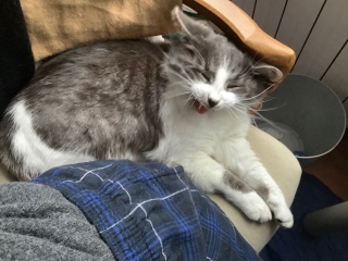 ���̎��Ŋ��܂ꂽ���Ȃ��ȁ[