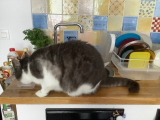 ��ю��ɗ��K