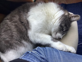 ��̂������������Ɓ[�I