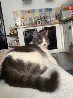 ���났�n�߂�L�����