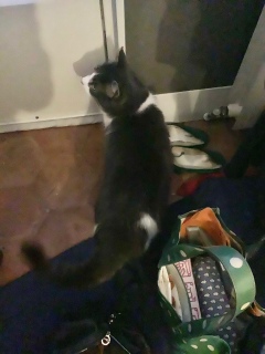 �ˁ[���Z���T�[