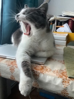 ����