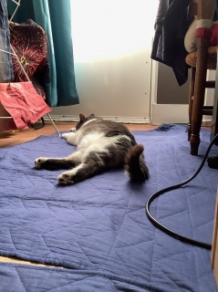 3��11��(��) �L����񂪐Q�Ă��܂�