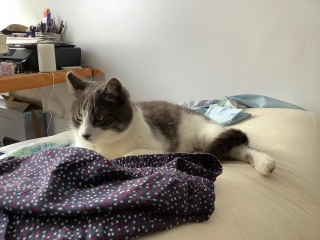 ���Q�ɗ����L�����˂񂯂ǁc