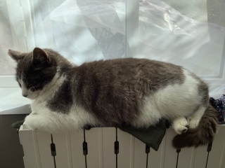 �L����񂪐Q�Ă��܂�