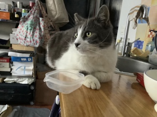 �[��