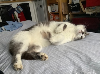 �������J��