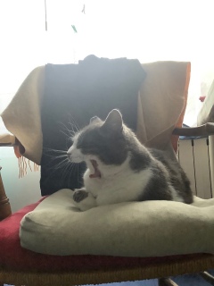 �����с@1